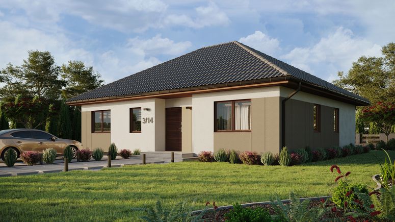 ERDOL 104 - Version Links (Wohnzimmer auf der linken Seite) - Styropor, Netz, Kleber - Nusbaum - Ohne