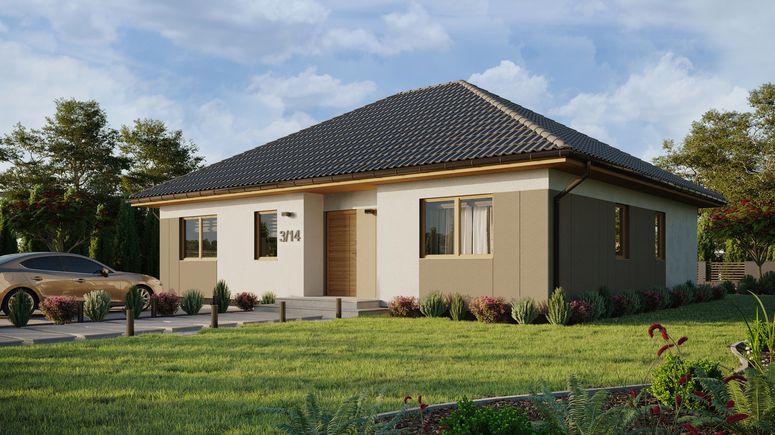 ERDOL 104 - Version Links (Wohnzimmer auf der linken Seite) - Styropor, Netz, Kleber - Winchester - Ohne