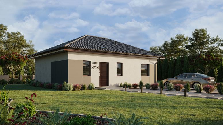 ERDOL 1 XL - Version Rechts (Wohnzimmer auf der rechten Seite) - Walmdach ohne Dachgeschoss- Dachneigung 25 Grad - Starres Tunneldachfenster - Standard - Styropor, Netz, Kleber - Nusbaum