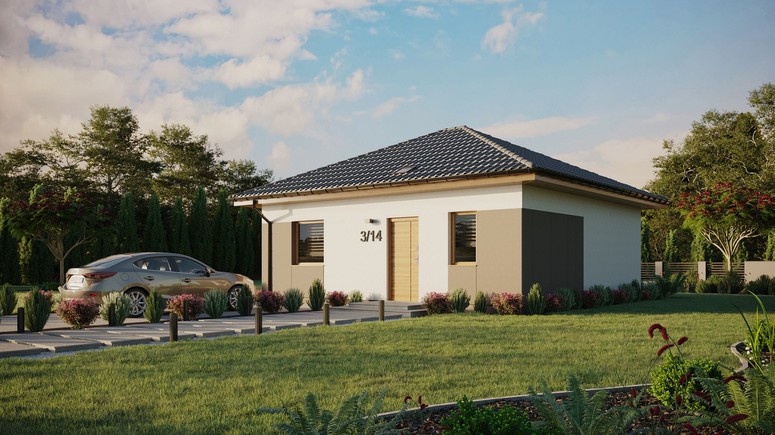 ERDOL 1 - Version Links (Wohnzimmer auf der linken Seite) - Walmdach ohne Dachgeschoss- Dachneigung 25 Grad - Starres Tunneldachfenster - Standard - Styropor, Netz, Kleber - Winchester